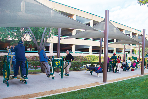 Wheelchair Accessible Senior Package 1