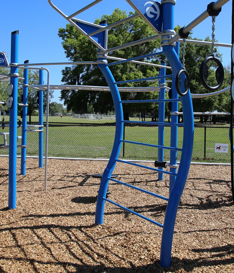 The Curved Swedish Ladder