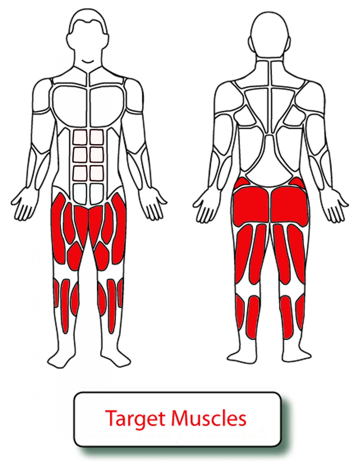 Muscle Groups for Upright Bike with Resistance