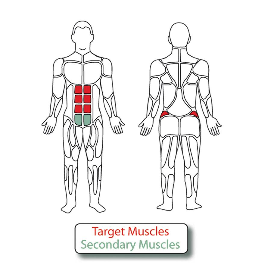 Muscle Groups for 2-Person Incline Sit-Up Benches