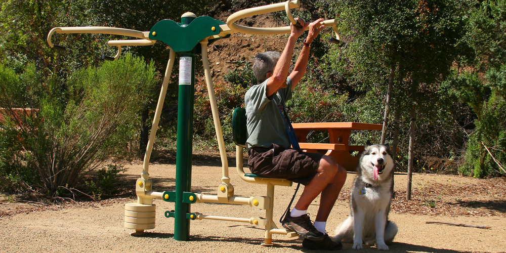 Fitness equipment in a park setting