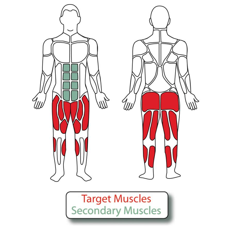 Muscle Groups for 4-Person Leg Press