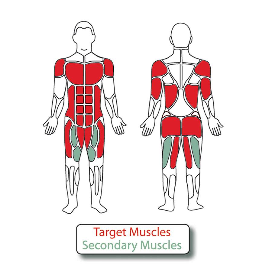 Muscle Groups for 4-Person Lower Body Combo