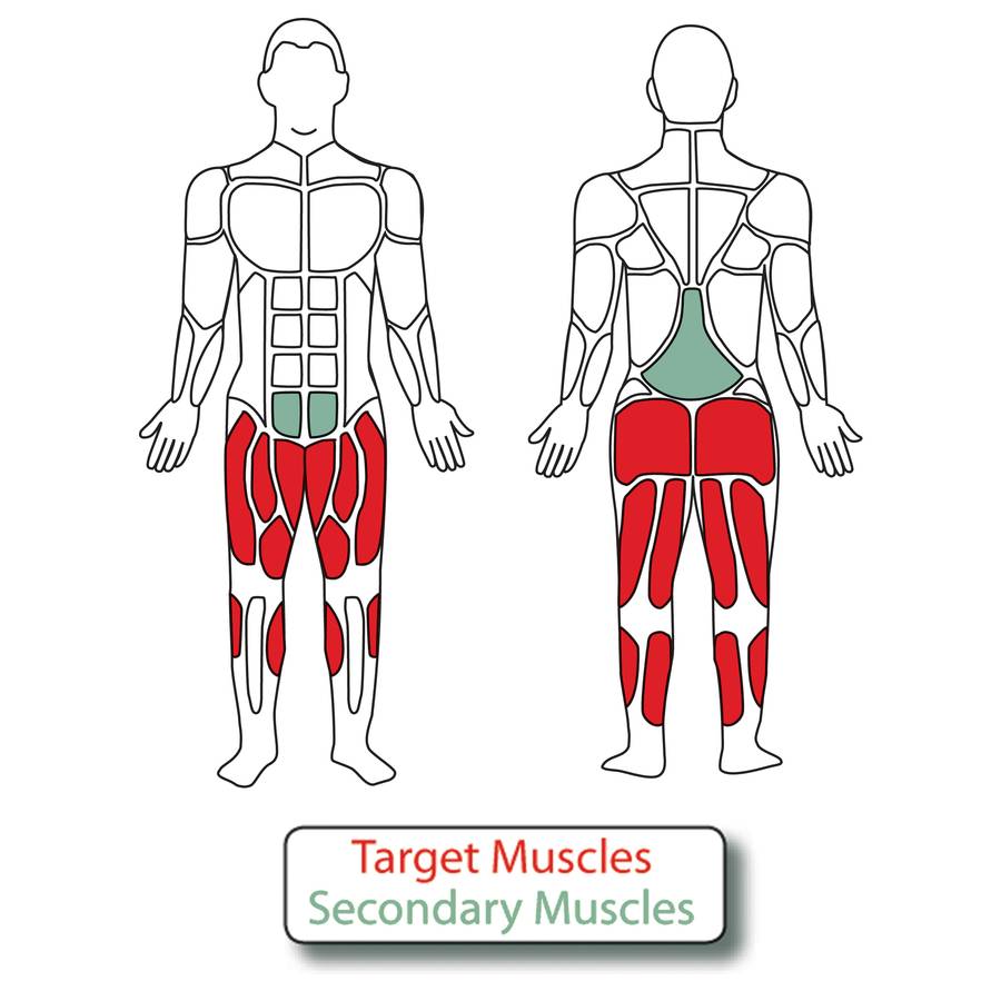 Muscle Groups for 2-Person Air Walker