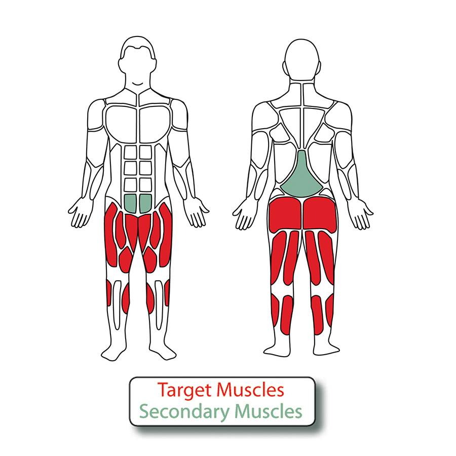 Muscle Groups for 2-Person Cross Country Ski