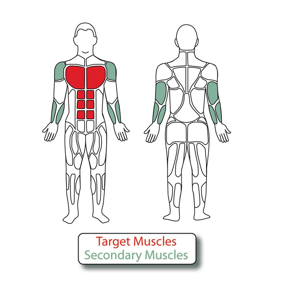 Muscle Groups for 2-Person Accessible Chest Press