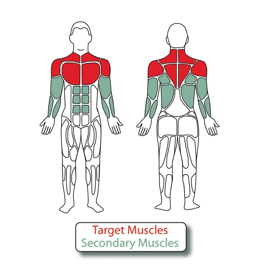 Muscle Groups for 2-Person Accessible Butterfly Combo Config. A