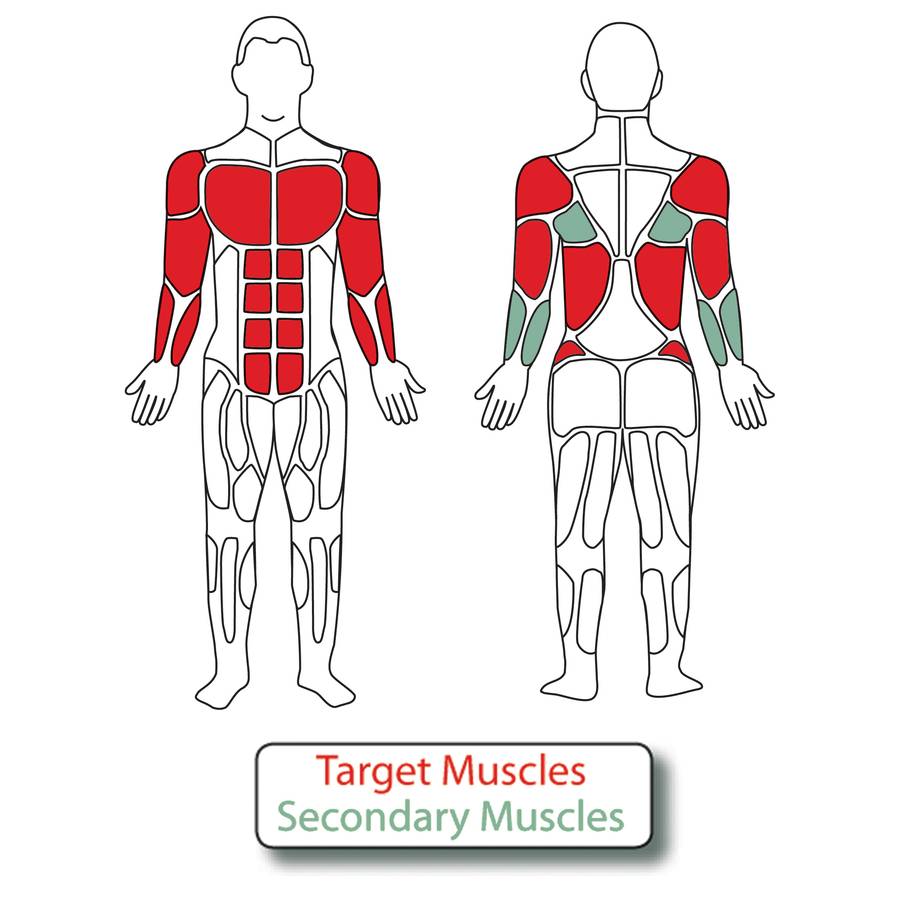 Muscle Groups for 13-Person Cross-Fitness Rig