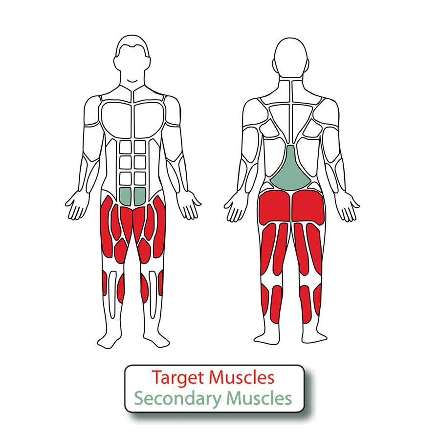 Muscle Groups for Single Elliptical