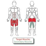 Muscle Groups for Recumbent Bike