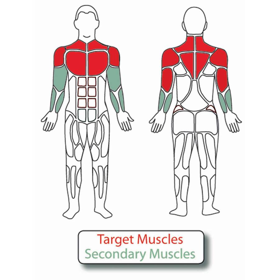 Muscle Groups for Adjustable Tricep Press