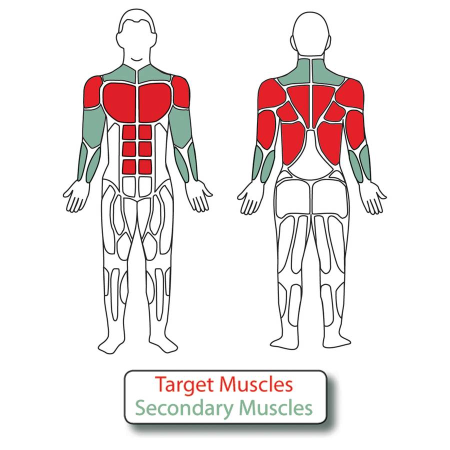 Muscle Groups for Adjustable Chest Press