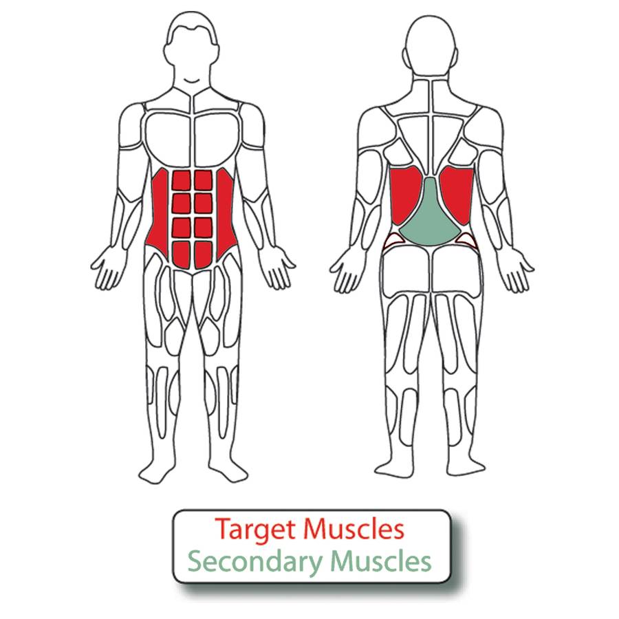 Muscle Groups for Adjustable Hip Twist