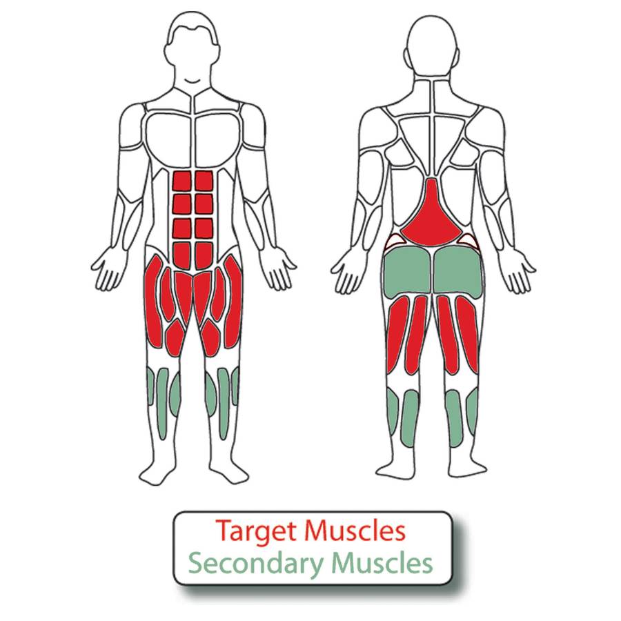 Muscle Groups for Balancing Plate